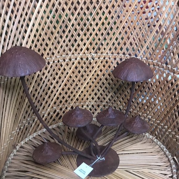 Anthropologie Whimsical Rustic Patina Iron Multiple Mushroom Tabletop Decor 🍄 - Picture 13 of 16